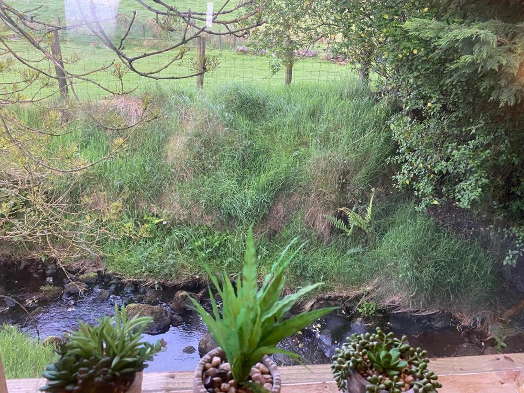Fallburn Hideaway Martinstown